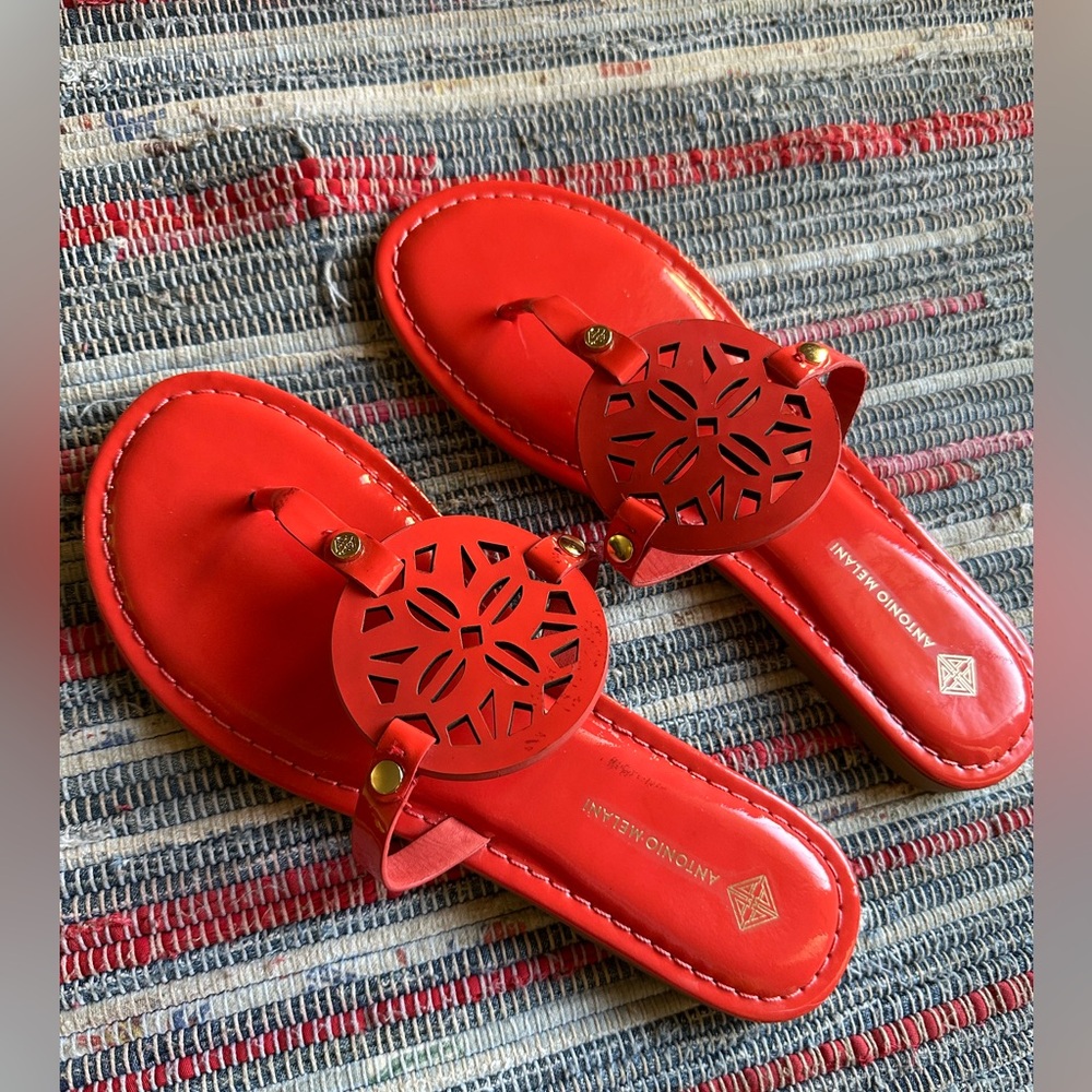 Antonio Melani thong sandals